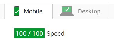 google-pagespeed-insights-100